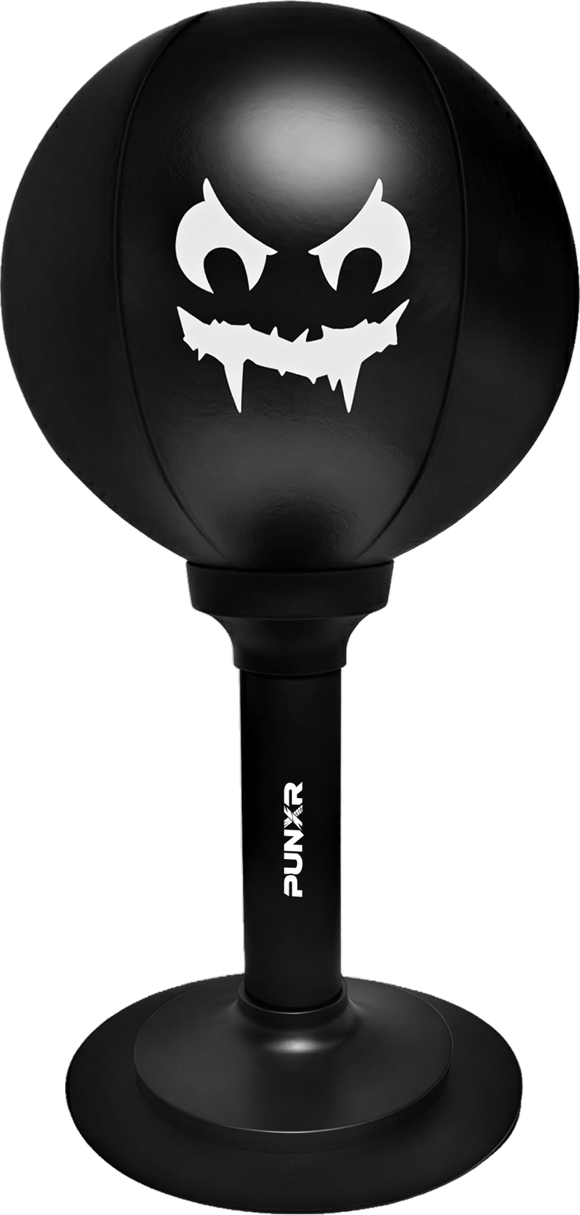 PUNXR Product